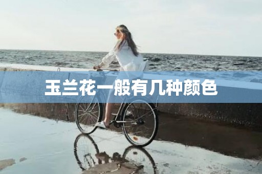 玉兰花一般有几种颜色