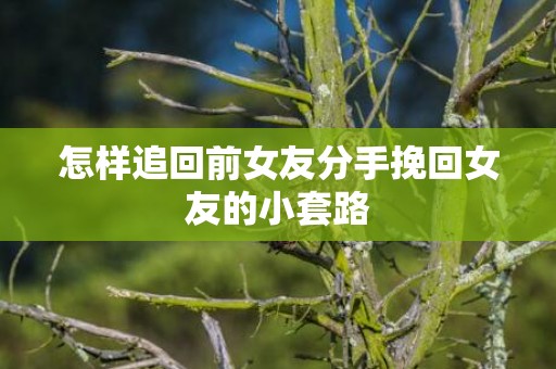 怎样追回前女友分手挽回女友的小套路