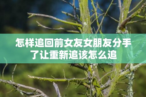 怎样追回前女友女朋友分手了让重新追该怎么追