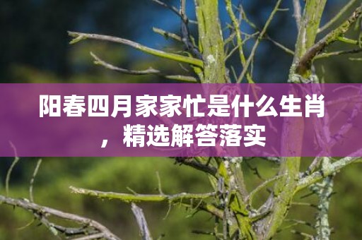 阳春四月家家忙是什么生肖，精选解答落实