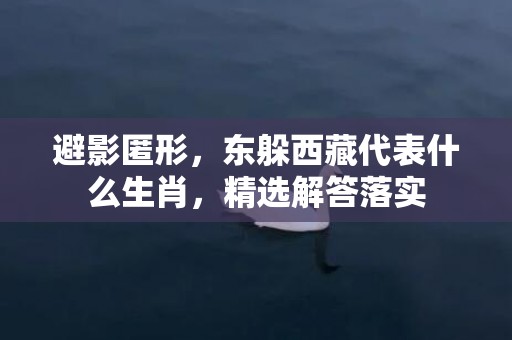 避影匿形，东躲西藏代表什么生肖，精选解答落实