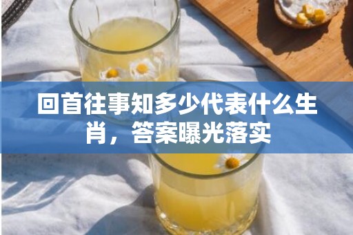 回首往事知多少代表什么生肖，答案曝光落实