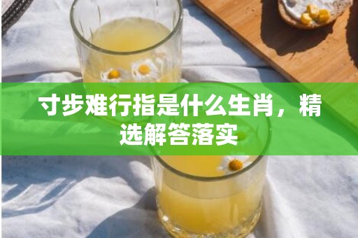 寸步难行指是什么生肖，精选解答落实
