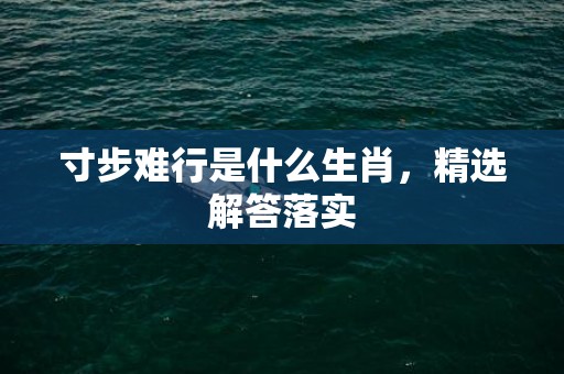 寸步难行是什么生肖，精选解答落实