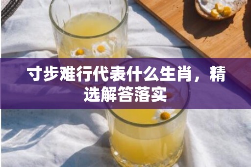 寸步难行代表什么生肖，精选解答落实
