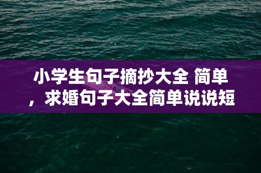 小学生句子摘抄大全 简单，求婚句子大全简单说说短句？求婚的话简短一点的