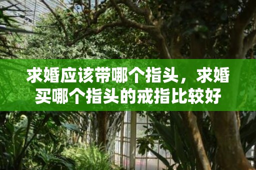 求婚应该带哪个指头，求婚买哪个指头的戒指比较好