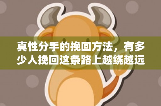 真性分手的挽回方法，有多少人挽回这条路上越绕越远