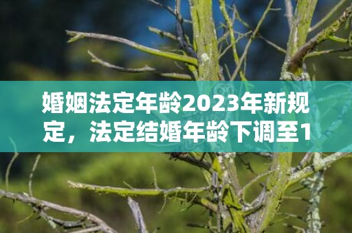 婚姻法定年龄2023年新规定，法定结婚年龄下调至18岁可能性大吗对吗？法定结婚年龄什么时候改到18岁