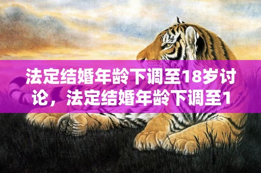 法定结婚年龄下调至18岁讨论，法定结婚年龄下调至18岁18岁怎么算的