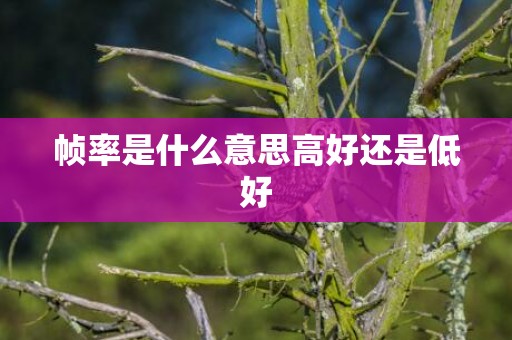 帧率是什么意思高好还是低好