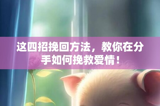 这四招挽回方法，教你在分手如何挽救爱情！