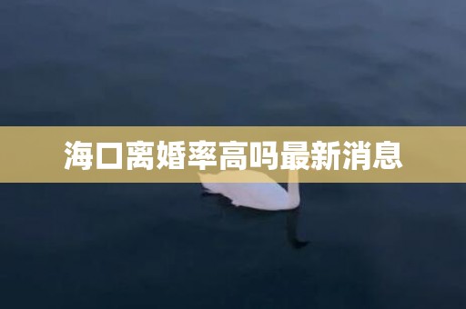 海口离婚率高吗最新消息