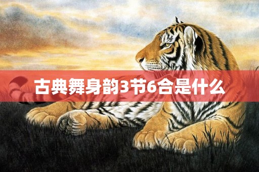 古典舞身韵3节6合是什么