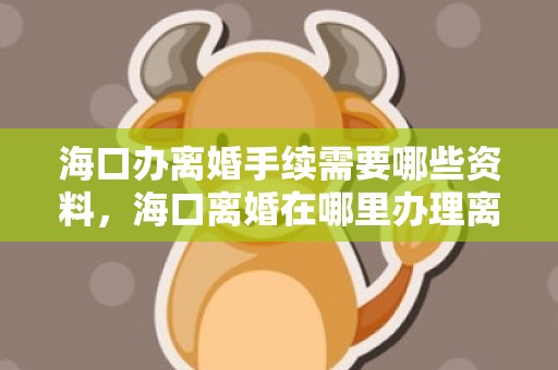海口办离婚手续需要哪些资料，海口离婚在哪里办理离婚证