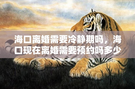 海口离婚需要冷静期吗，海口现在离婚需要预约吗多少钱