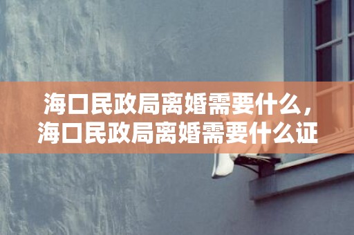 海口民政局离婚需要什么，海口民政局离婚需要什么证件 民政局离婚手续需要带什么