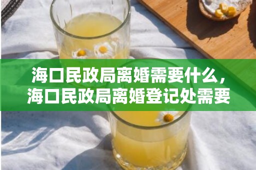 海口民政局离婚需要什么，海口民政局离婚登记处需要预约吗 海口民政局在哪
