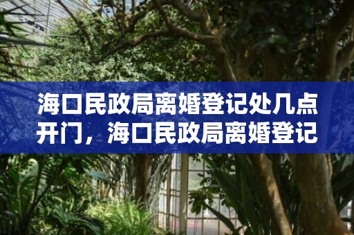 海口民政局离婚登记处几点开门，海口民政局离婚登记处在哪里