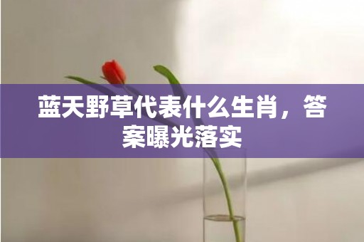 蓝天野草代表什么生肖，答案曝光落实