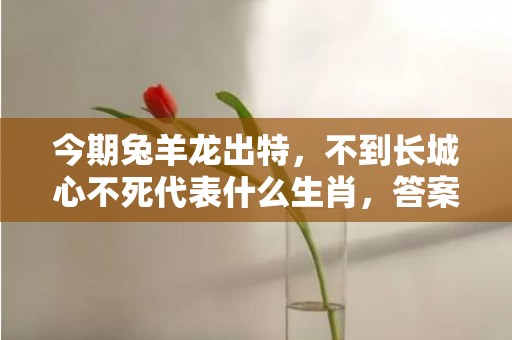 今期兔羊龙出特，不到长城心不死代表什么生肖，答案曝光落实