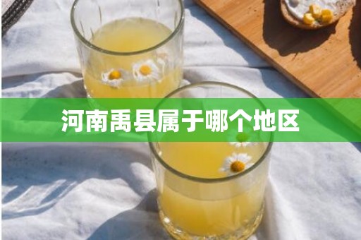 河南禹县属于哪个地区