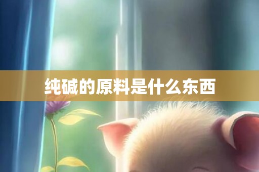 纯碱的原料是什么东西
