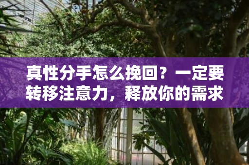 真性分手怎么挽回？一定要转移注意力，释放你的需求感