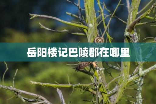 岳阳楼记巴陵郡在哪里