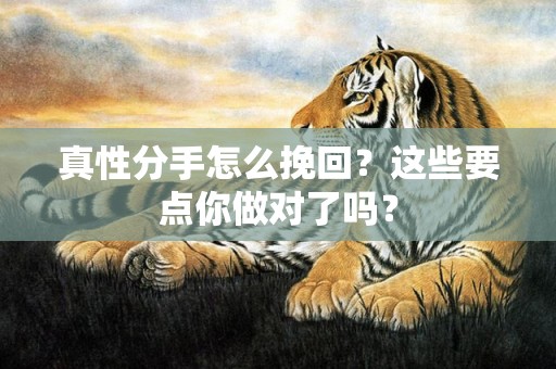 真性分手怎么挽回？这些要点你做对了吗？