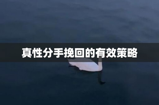 真性分手挽回的有效策略