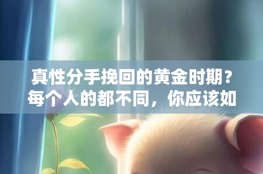 真性分手挽回的黄金时期？每个人的都不同，你应该如何选择
