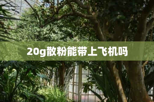 20g散粉能带上飞机吗