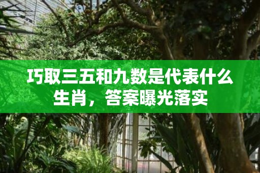 巧取三五和九数是代表什么生肖，答案曝光落实