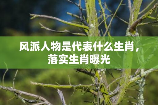 风派人物是代表什么生肖，落实生肖曝光