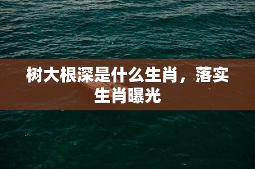 树大根深是什么生肖，落实生肖曝光