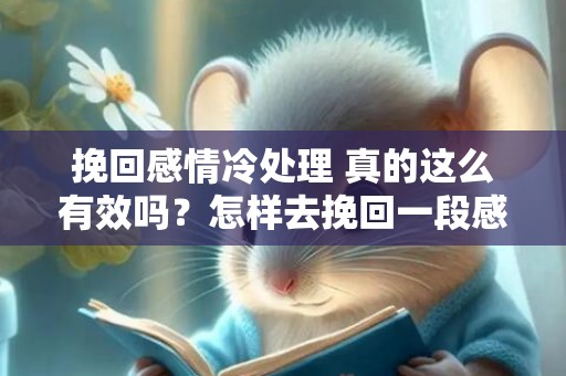 挽回感情冷处理 真的这么有效吗？怎样去挽回一段感情
