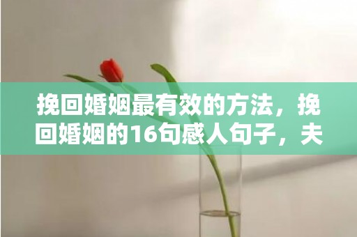 挽回婚姻最有效的方法，挽回婚姻的16句感人句子，夫妻离婚挽回的话