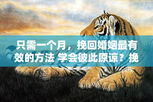 只需一个月，挽回婚姻最有效的方法 学会彼此原谅？挽回婚姻最聪明的方法