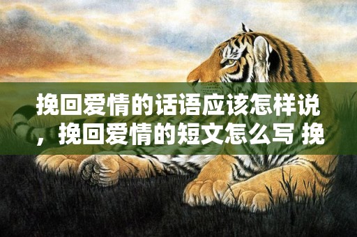 挽回爱情的话语应该怎样说，挽回爱情的短文怎么写 挽回女朋友的信200字