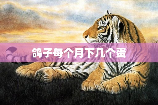 鸽子每个月下几个蛋