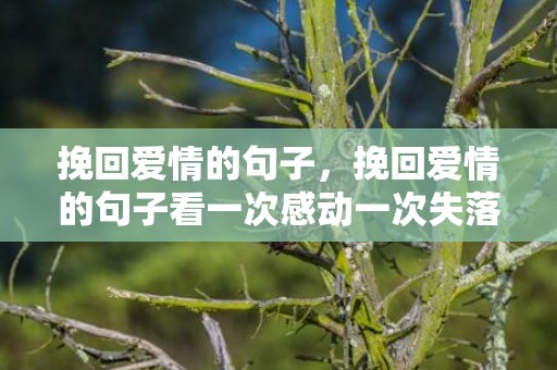 挽回爱情的句子，挽回爱情的句子看一次感动一次失落是什么歌