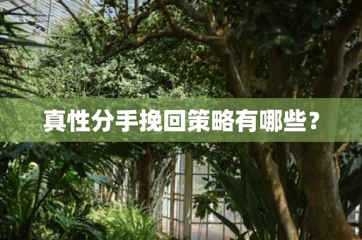 真性分手挽回策略有哪些？