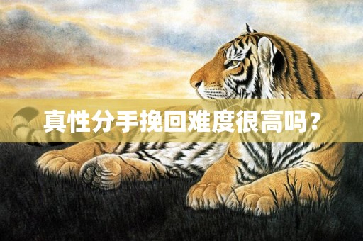 真性分手挽回难度很高吗？