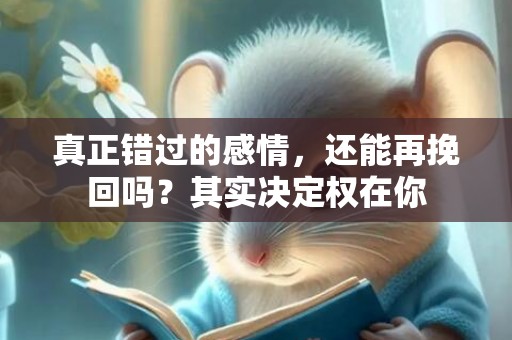 真正错过的感情，还能再挽回吗？其实决定权在你