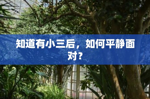 知道有小三后，如何平静面对？