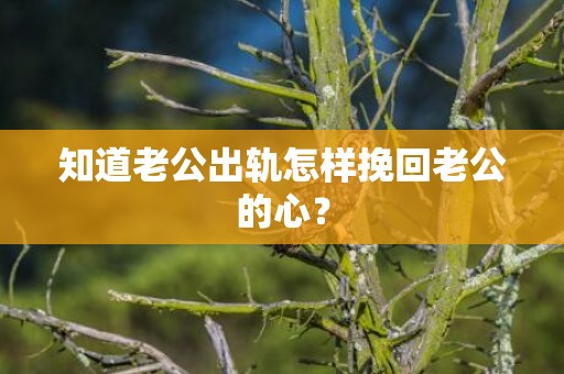 知道老公出轨怎样挽回老公的心？