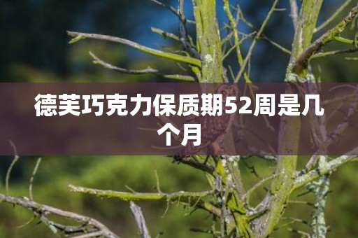 德芙巧克力保质期52周是几个月