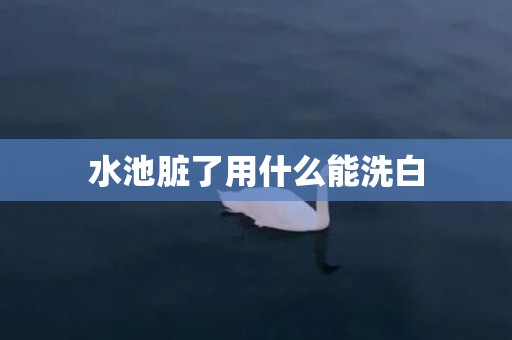 水池脏了用什么能洗白