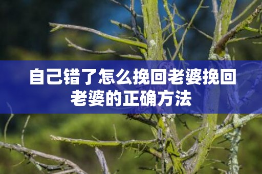 自己错了怎么挽回老婆挽回老婆的正确方法